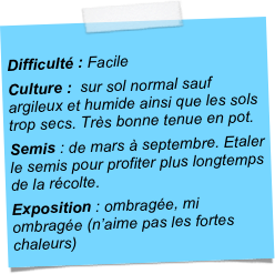 
Difficulté : Facile
Culture :  sur sol normal sauf argileux et humide ainsi que les sols trop secs. Très bonne tenue en pot. 
Semis : de mars à septembre. Etaler le semis pour profiter plus longtemps de la récolte.
Exposition : ombragée, mi ombragée (n’aime pas les fortes chaleurs)