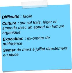
Difficulté : facileCulture : sur sol frais, léger et amendé avec un apport en fumure organiqueExposition : mi-ombre de préférenceSemer de mars à juillet directement en place