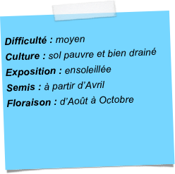 
Difficulté : moyenCulture : sol pauvre et bien drainéExposition : ensoleillée Semis : à partir d’AvrilFloraison : d’Août à Octobre