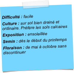 
Difficulté : facileCulture : sur sol bien drainé et ordinaire. Préfère les sols calcairesExposition : ensoleilléeSemis : dès le début du printempsFloraison : de mai à octobre sans discontinuer