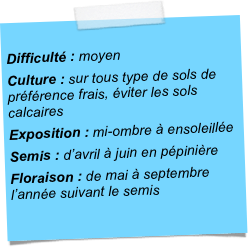 
Difficulté : moyenCulture : sur tous type de sols de préférence frais, éviter les sols calcairesExposition : mi-ombre à ensoleilléeSemis : d’avril à juin en pépinièreFloraison : de mai à septembre l’année suivant le semis