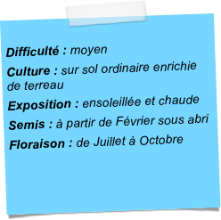 
Difficulté : moyenCulture : sur sol ordinaire enrichie de terreauExposition : ensoleillée et chaudeSemis : à partir de Février sous abriFloraison : de Juillet à Octobre