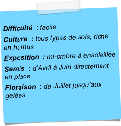 
Difficulté  : facileCulture  : tous types de sols, riche en humusExposition  : mi-ombre à ensoleilléeSemis  : d’Avril à Juin directement en placeFloraison  : de Juillet jusqu’aux gelées