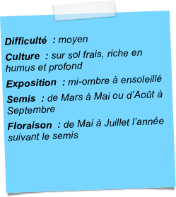 
Difficulté  : moyenCulture  : sur sol frais, riche en humus et profondExposition  : mi-ombre à ensoleilléSemis  : de Mars à Mai ou d’Août à SeptembreFloraison  : de Mai à Juillet l’année suivant le semis