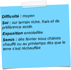 
Difficulté : moyenSol : sur terrain riche, frais et de préférence acide.Exposition ensoleilléeSemis : dès février sous châssis chauffé ou au printemps dès que le terre s’est réchauffée
