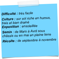 
Difficulté : très facile
Culture : sur sol riche en humus, frais et bien drainé Exposition : ensoleillée
Semis : de Mars à Avril sous châssis ou en mai en pleine terre
Récolte : de septembre à novembre
