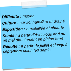 
Difficulté : moyen	Culture : sur sol humifère et drainéExposition : ensoleillée et chaudeSemis : à partir d’Avril sous abri ou en mai directement en pleine terreRécolte : à partir de juillet et jusqu’à septembre selon les semis
