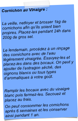 Cornichon au Vinaigre :La veille, nettoyer et brosser 1kg de cornichons afin qu’ils soient bien propres. Placez-les pendant 24h dans 200g de gros sel.Le lendemain, procédez à un rinçage des cornichons avec de l’eau légèrement vinaigrée. Essuyez-les et placez-les dans des bocaux. On peut y ajouter de l’estragon séché, des oignons blancs ou tous types d’aromatiques à votre goût.Remplir les bocaux avec du vinaigre blanc puis fermez-les. Secouez et placez au frais. On peut consommer les cornichons après 6 semaines et les conserver ainsi pendant 1 an.