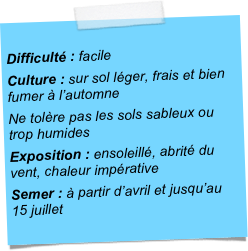 
Difficulté : facileCulture : sur sol léger, frais et bien fumer à l’automneNe tolère pas les sols sableux ou trop humidesExposition : ensoleillé, abrité du vent, chaleur impérativeSemer : à partir d’avril et jusqu’au 15 juillet