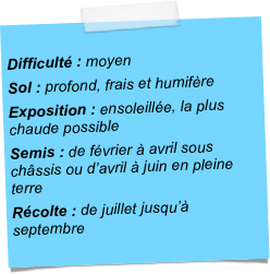 
Difficulté : moyenSol : profond, frais et humifèreExposition : ensoleillée, la plus chaude possibleSemis : de février à avril sous châssis ou d’avril à juin en pleine terreRécolte : de juillet jusqu’à septembre