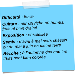 
Difficulté : facileCulture : sur sol riche en humus, frais et bien drainéExposition : ensoleilléeSemis : d’avril à mai sous châssis ou de mai à juin en pleine terreRécolte : à l’automne dès que les fruits sont bien colorés