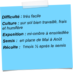 
Difficulté : très facileCulture : sur sol bien travaillé, frais et humifèreExposition : mi-ombre à ensoleilléeSemis :  en place de Mai à AoûtRécolte :  1mois ½ après le semis