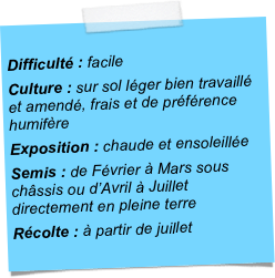 
Difficulté : facileCulture : sur sol léger bien travaillé et amendé, frais et de préférence humifèreExposition : chaude et ensoleilléeSemis : de Février à Mars sous châssis ou d’Avril à Juillet directement en pleine terreRécolte : à partir de juillet