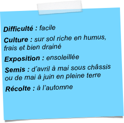 
Difficulté : facileCulture : sur sol riche en humus, frais et bien drainéExposition : ensoleilléeSemis : d’avril à mai sous châssis ou de mai à juin en pleine terreRécolte : à l’automne